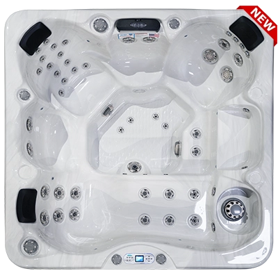 Costa EC-749L hot tubs for sale in Michigan Center