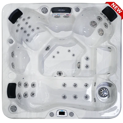 Costa-X EC-749LX hot tubs for sale in Michigan Center