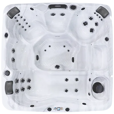 Avalon EC-840L hot tubs for sale in Michigan Center