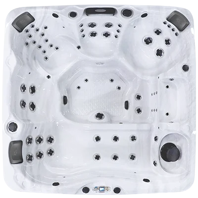 Avalon EC-867L hot tubs for sale in Michigan Center